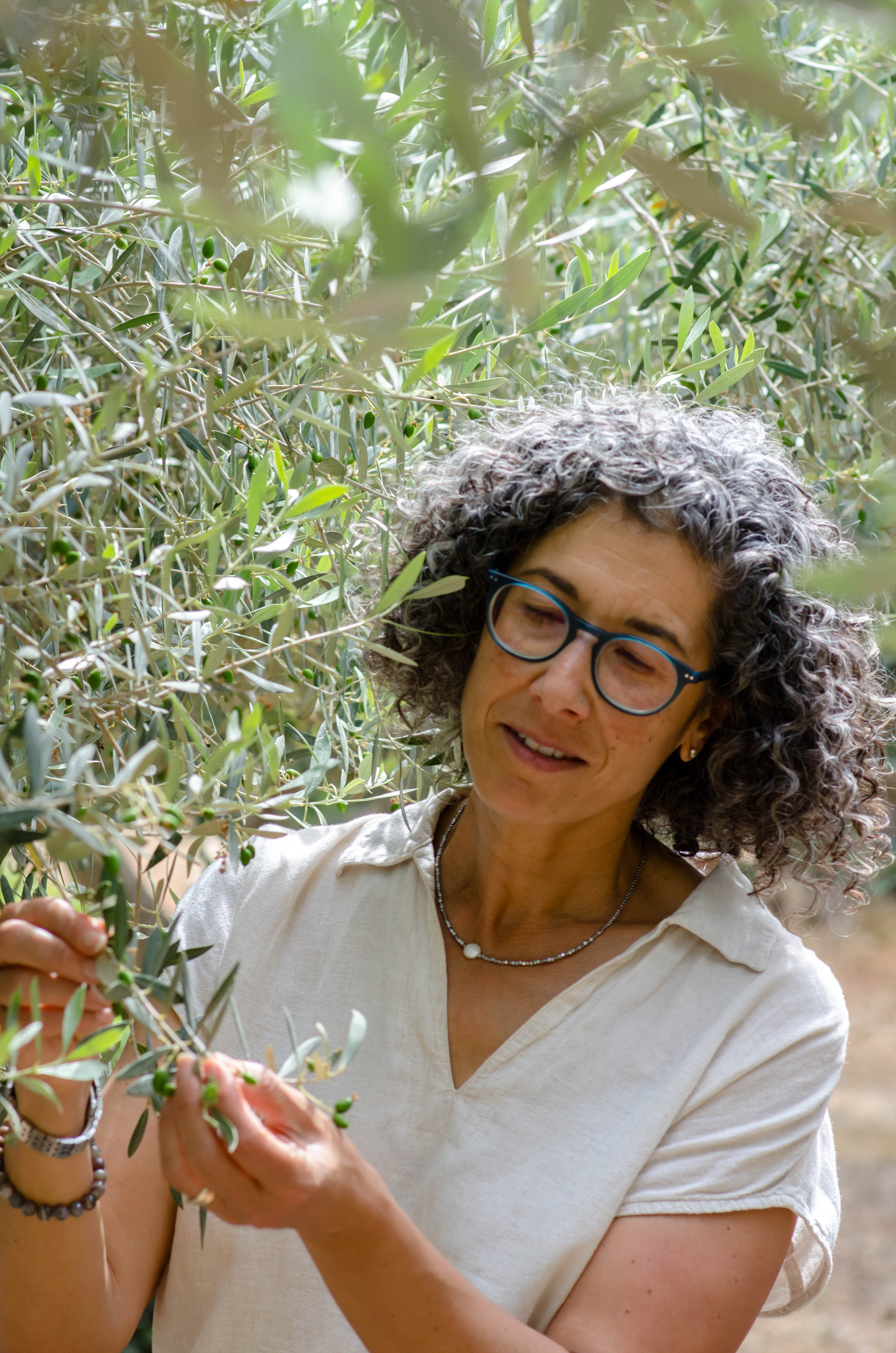 Examining olive branches in the orchard